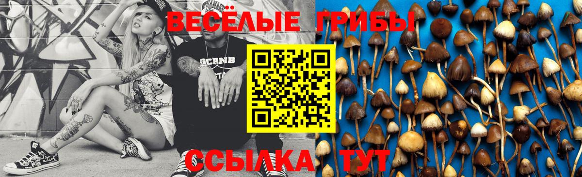 Галлюциногенные грибы прущие грибы  закладка  Магнитогорск  Вход с VPN 